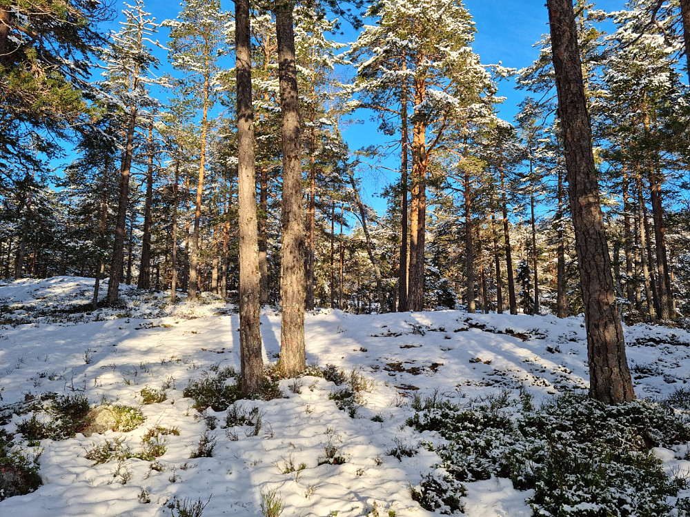 Mer snø enn vi trodde