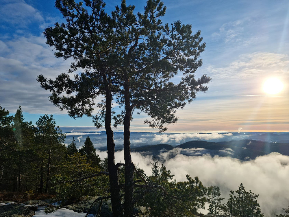 Utsikt fra Ulvskollen