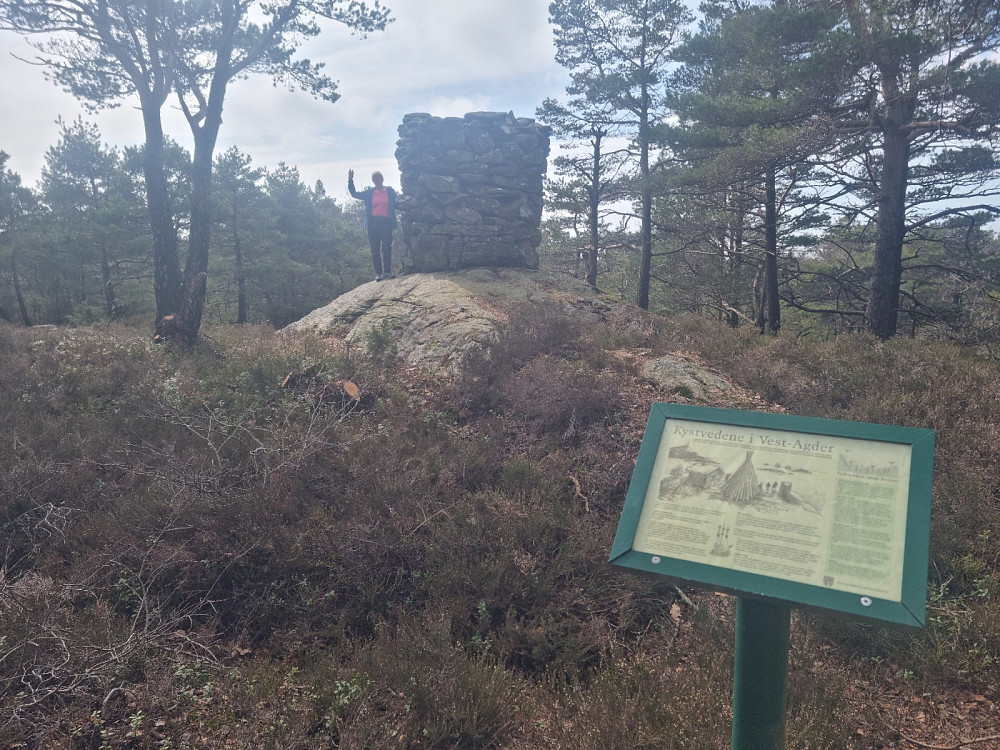 Toppen av Huseheia