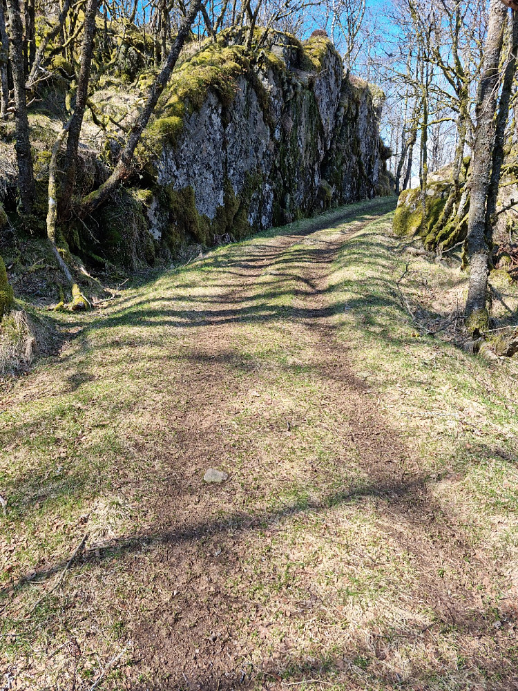 Nydelig underlag å gå på