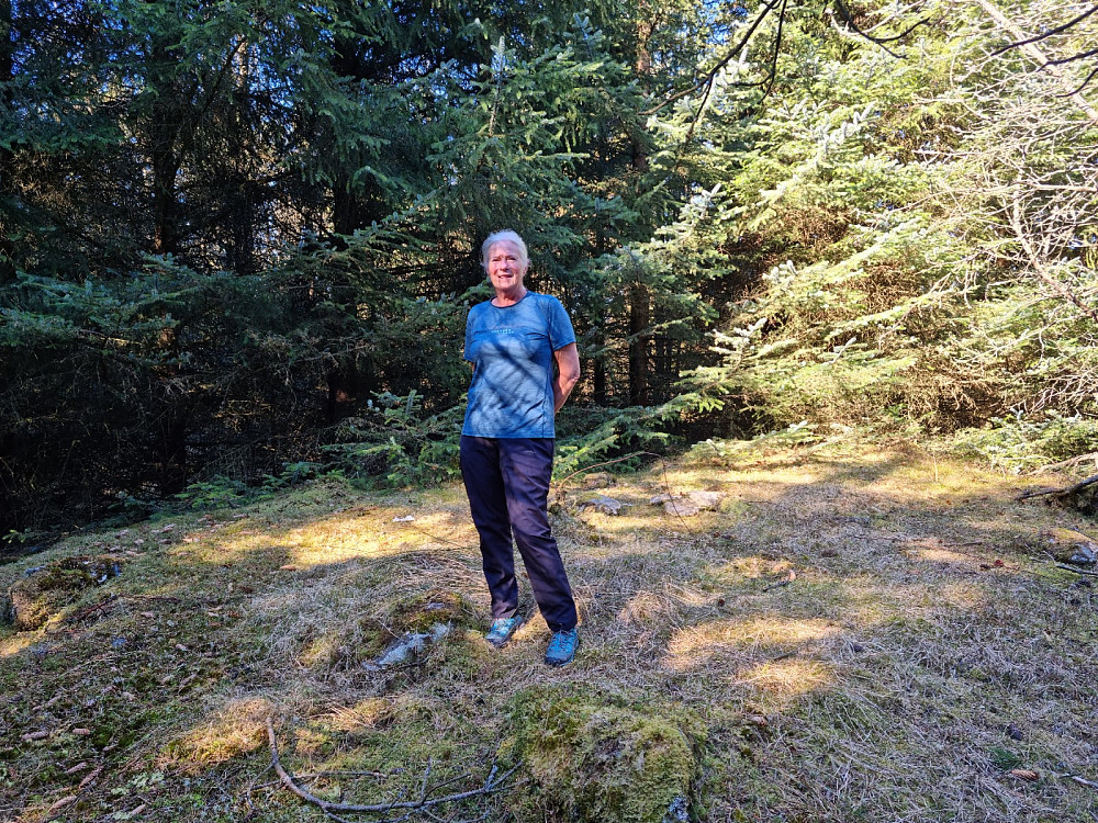 Liv på toppen midt inni skogen