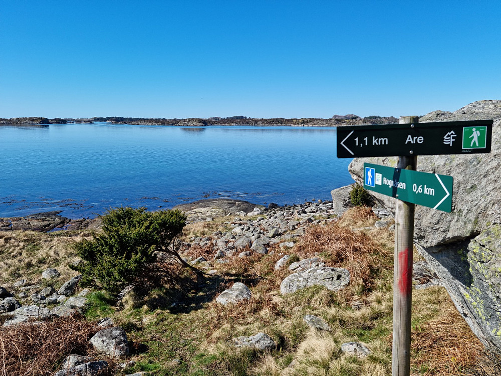 Her starter stien mot Hognåsen