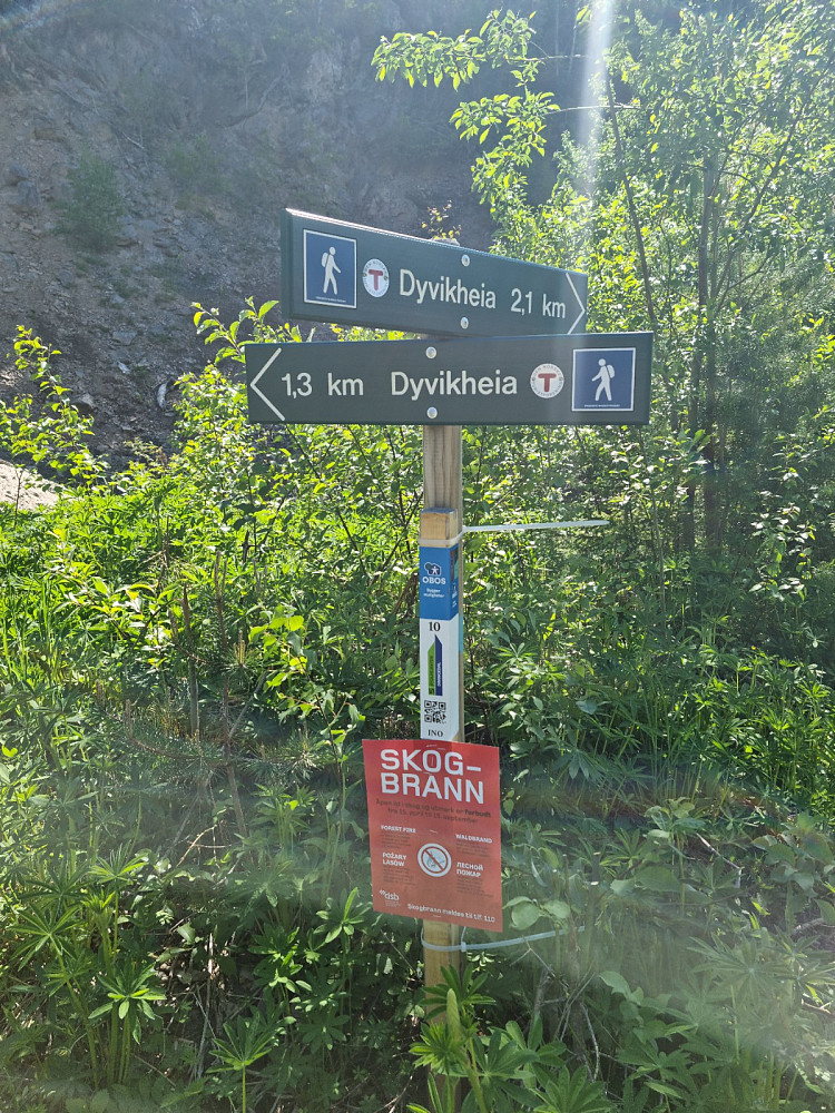 Her kan du gå rundløype
