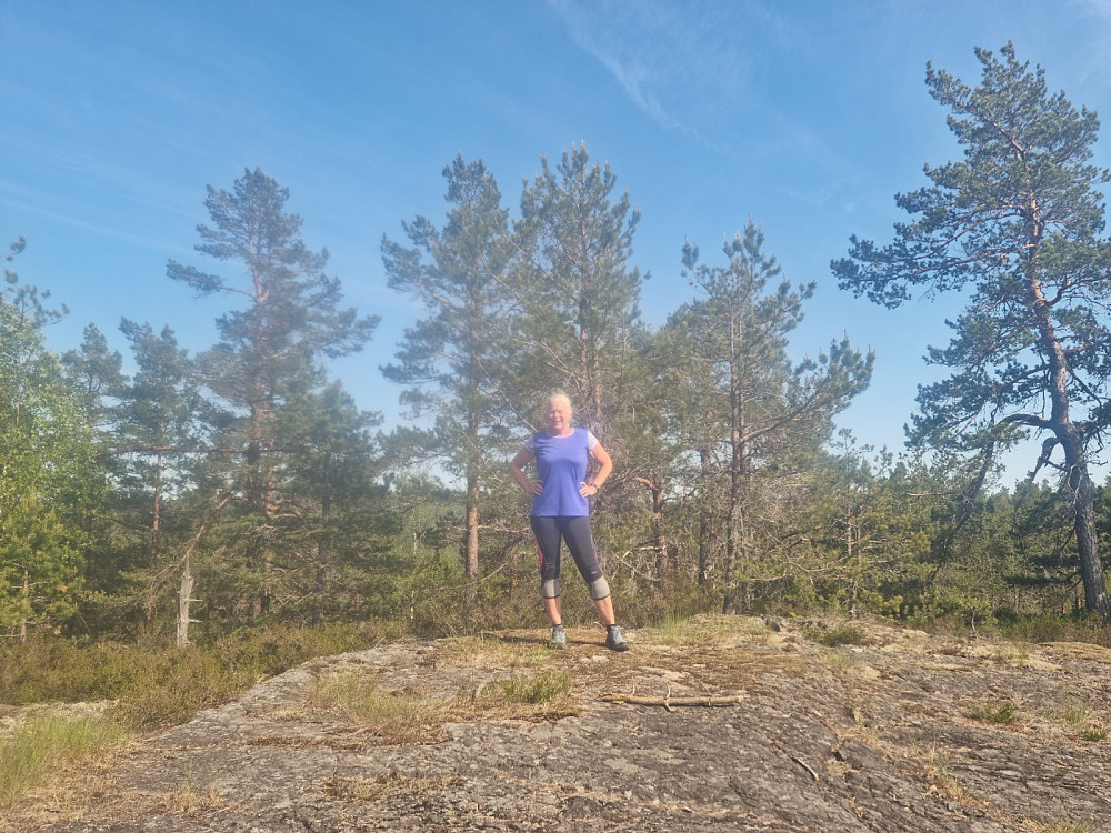 Toppen