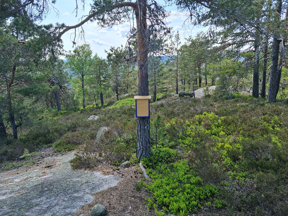 Postkasse på Sjåen