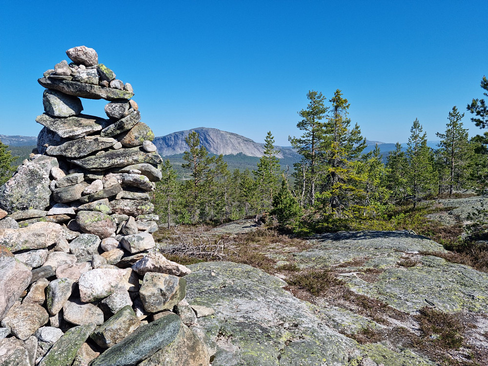 Toppvarden
