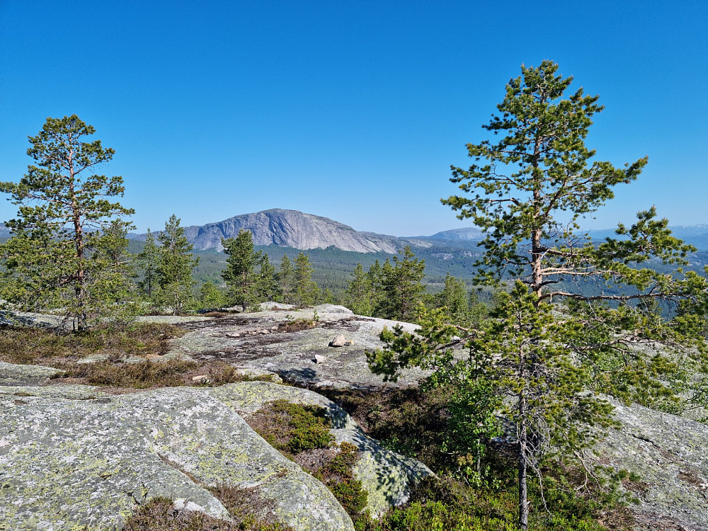 Utsikt mot Hægefjell