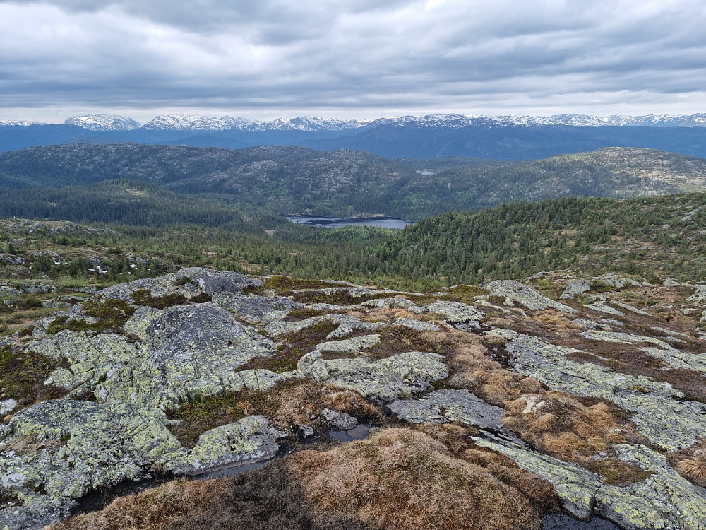 Utsikt vestover