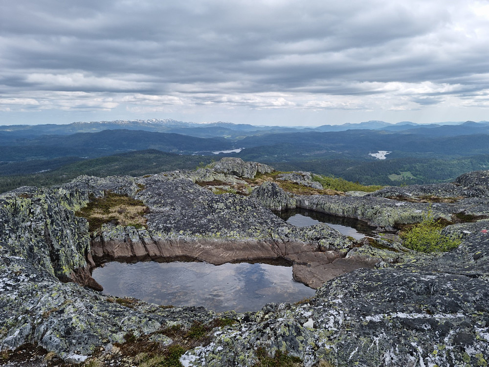 Dammene på toppen