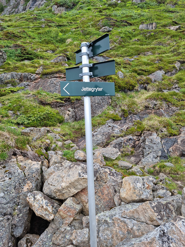 Veiviser