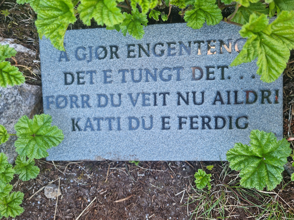 Dette skiltet står på toppen. Gjelder ikke oss, vi gjør jo noe hele tiden. |toppen