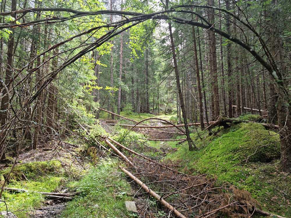Masse trenedfall i begynnelsen av traktorslepa
