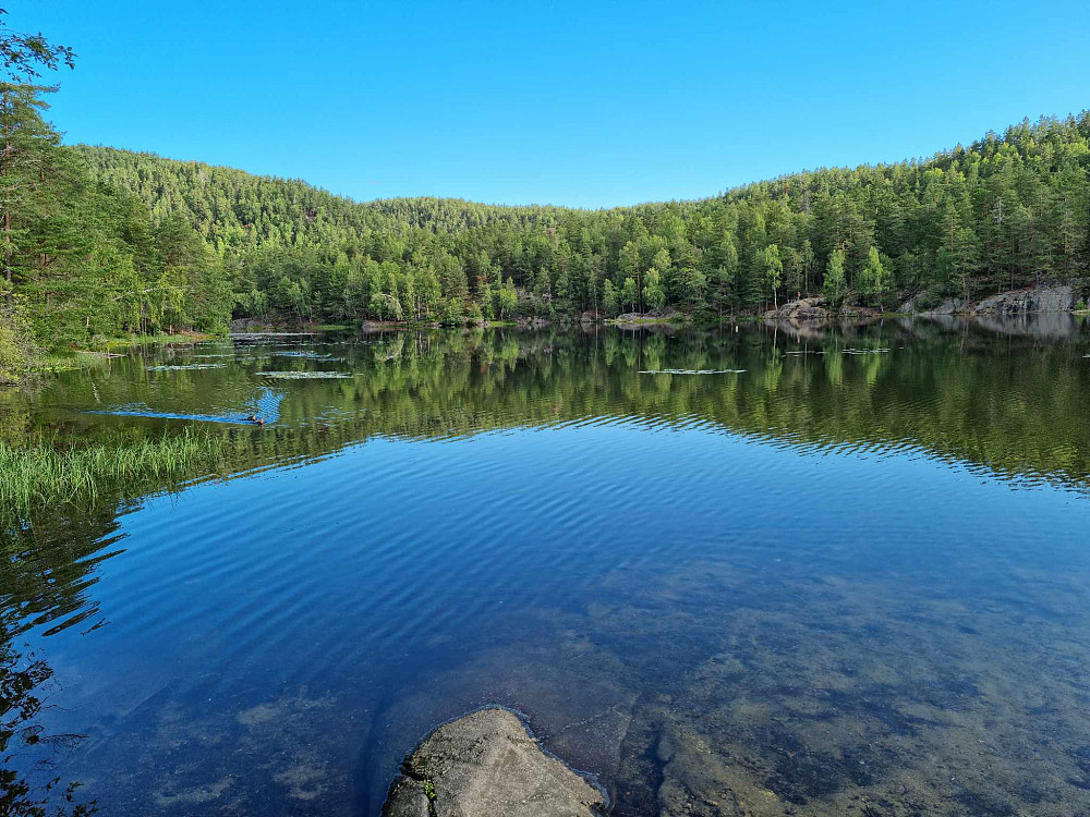 Åletjern