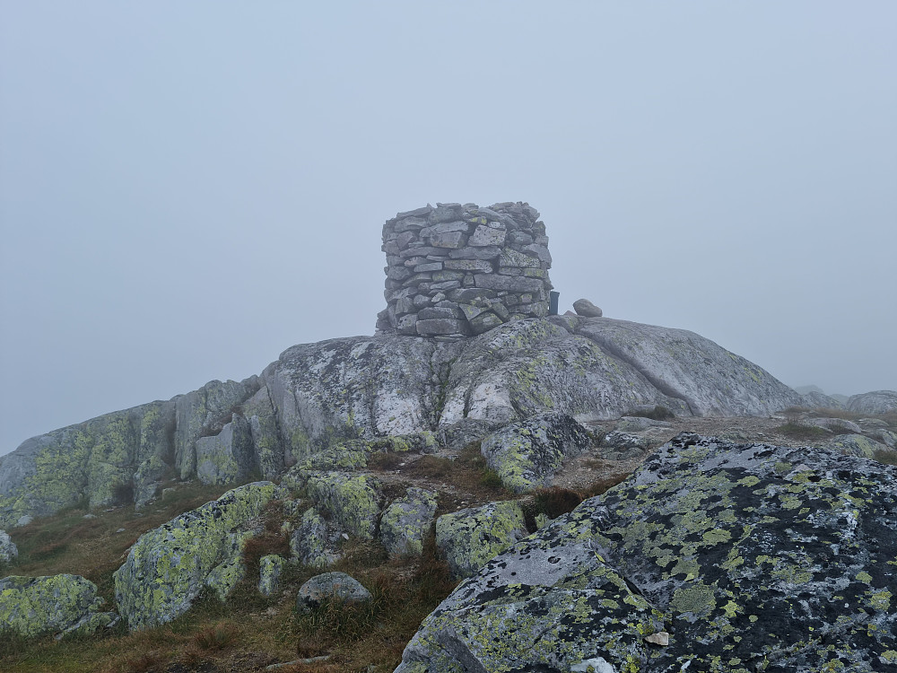 Toppvarden