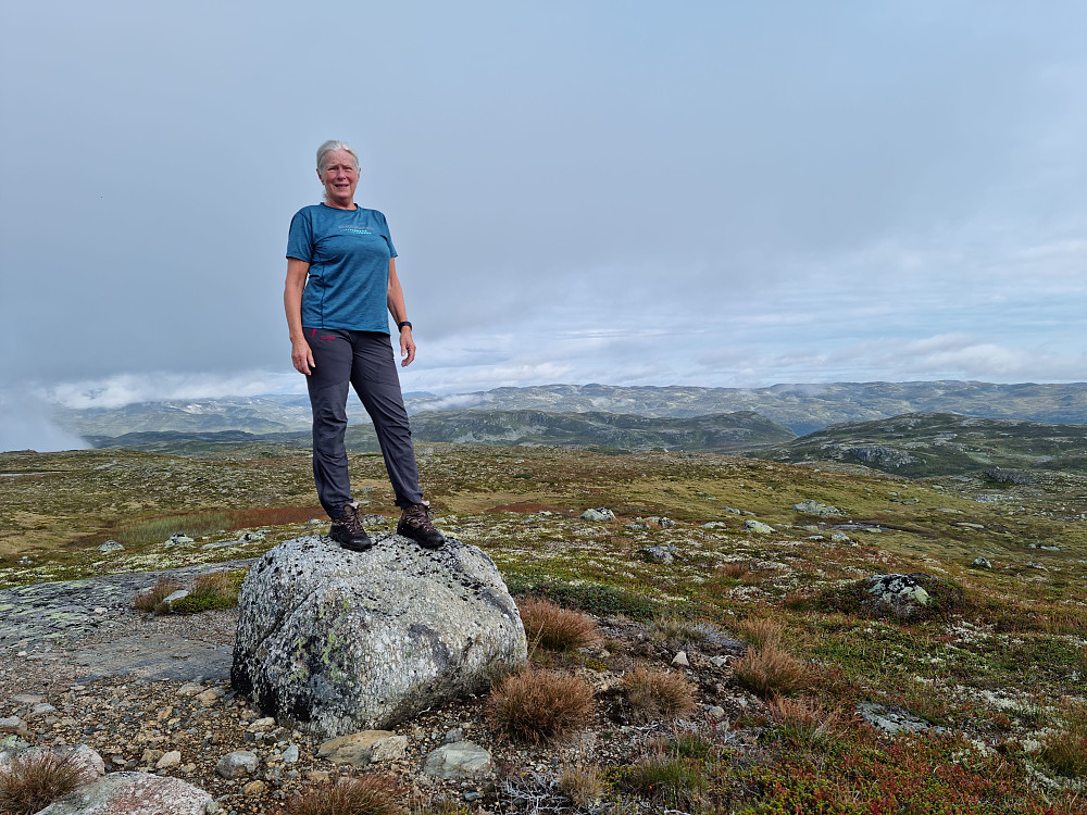 Råsanuten