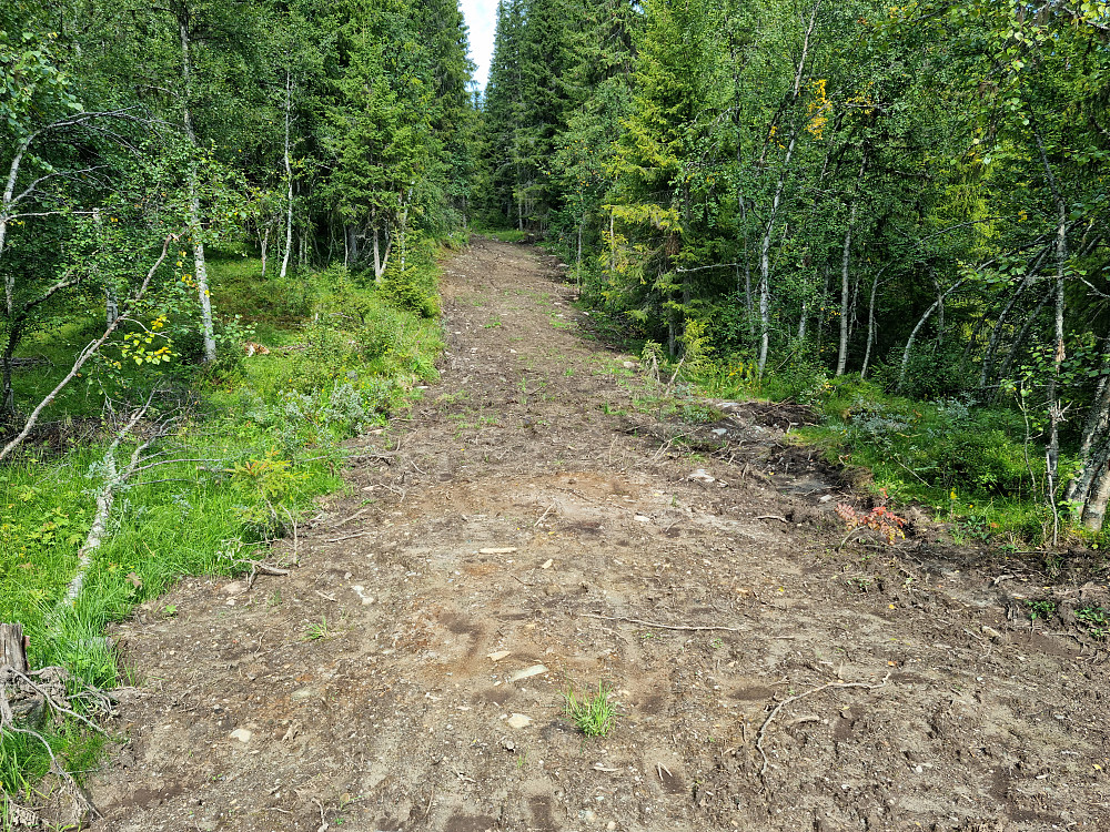 Nylaget og leirete atv-vei