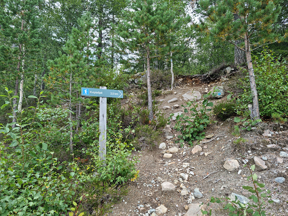 Stistart