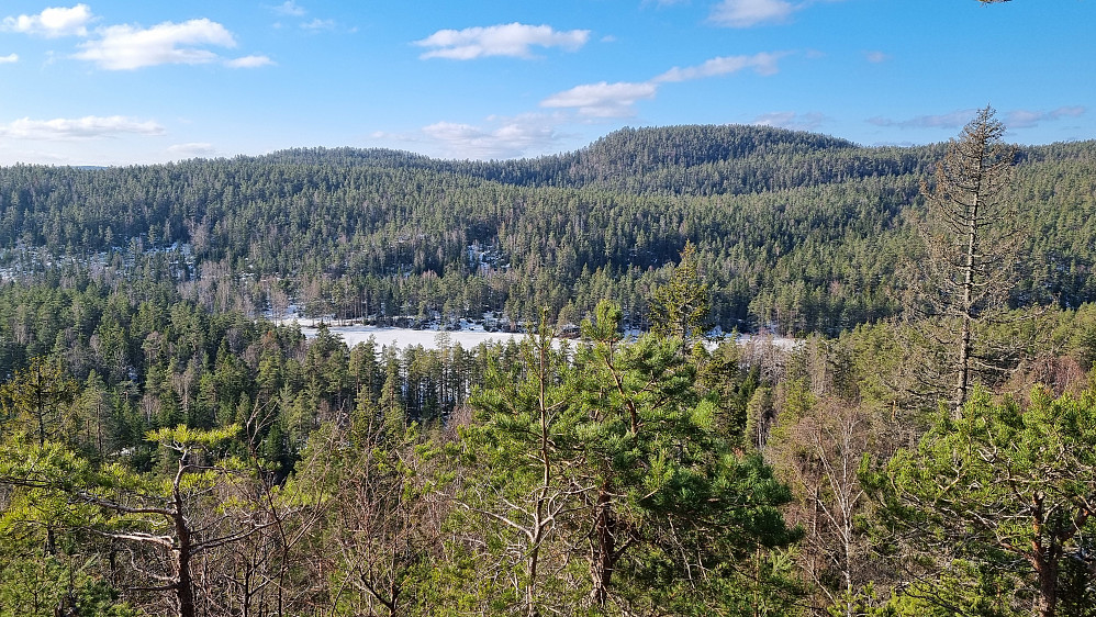 Fint i sola på toppen. Åletjern nedenfor