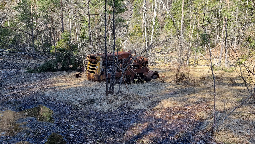 Denne lå i kanten av myra
