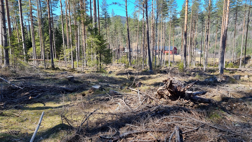 Her tok vi av fra den første traktorveien