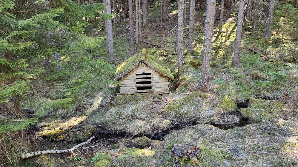 Hus over bekken full av vann