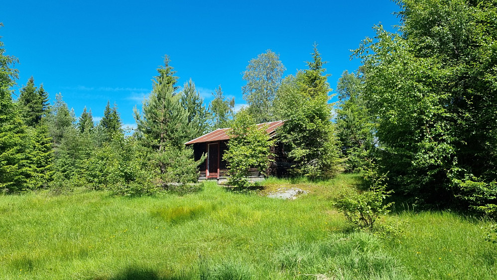 Skjeggestul