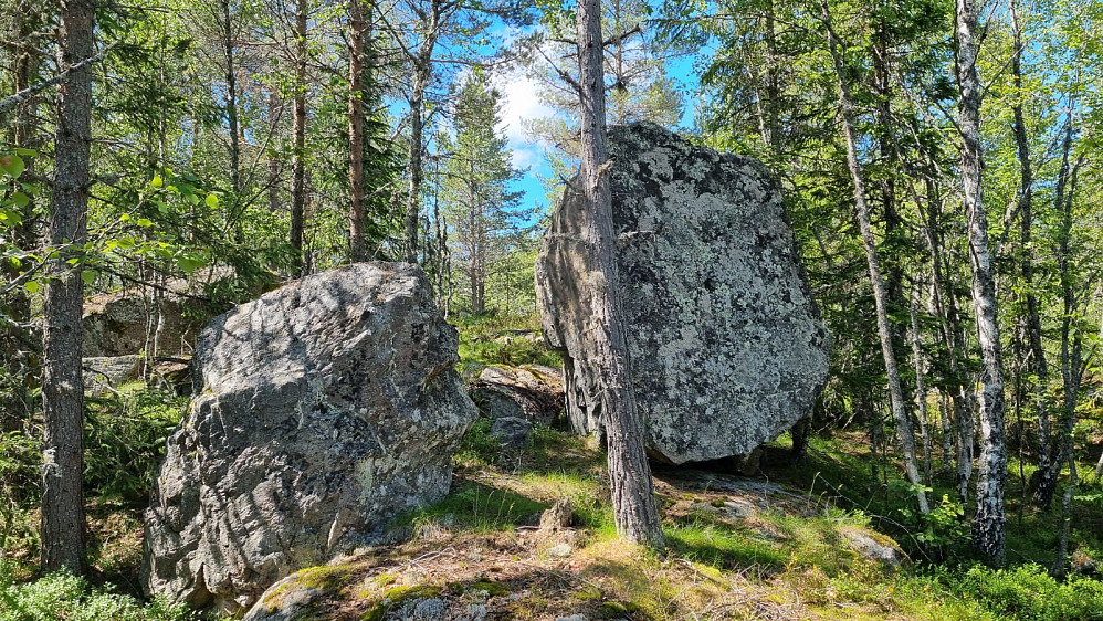 To kampesteiner