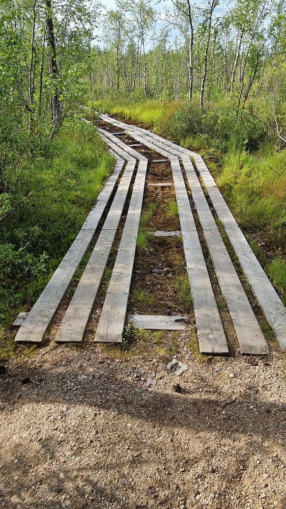 Var lagt ut plank i myrene