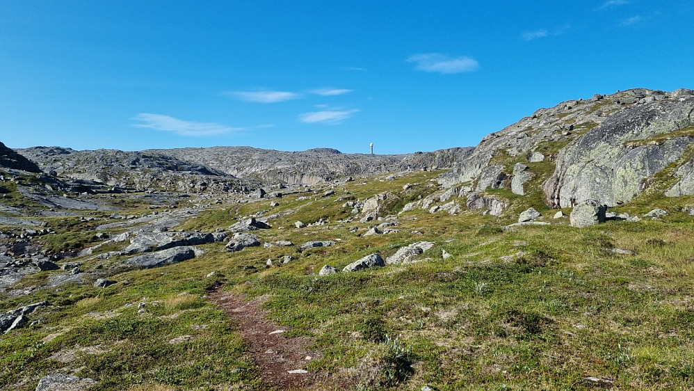Tårnet i det fjerne