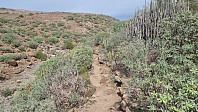 LivogKristen_20241123_6741ec95e1fe9.jpg