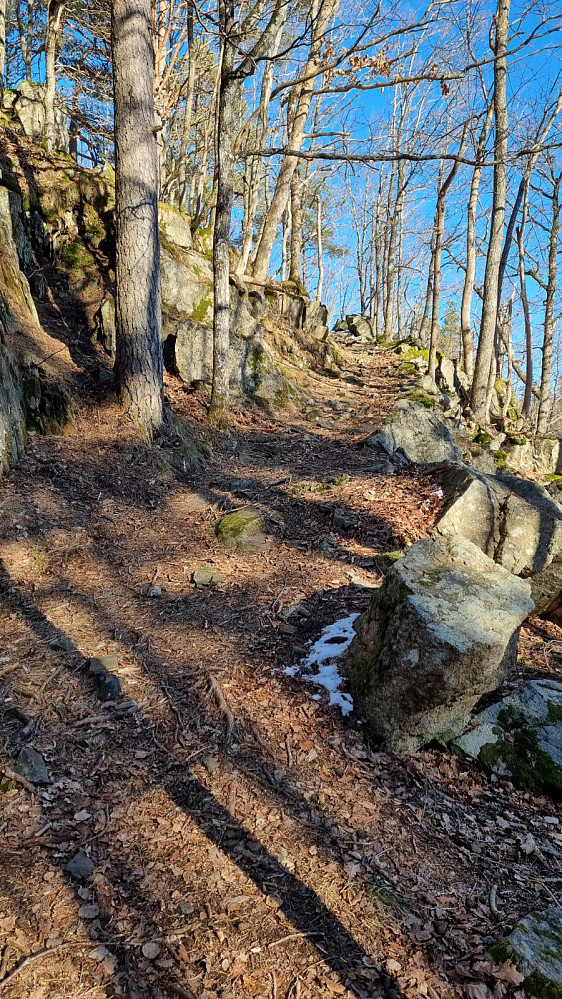 Fin gammel kjerrevei opp her
