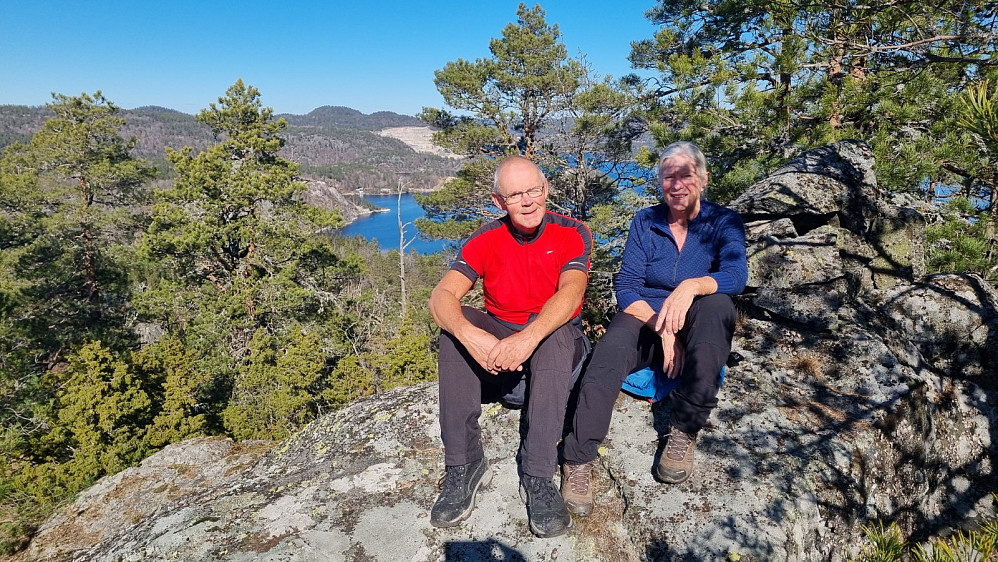 Toppen med varden