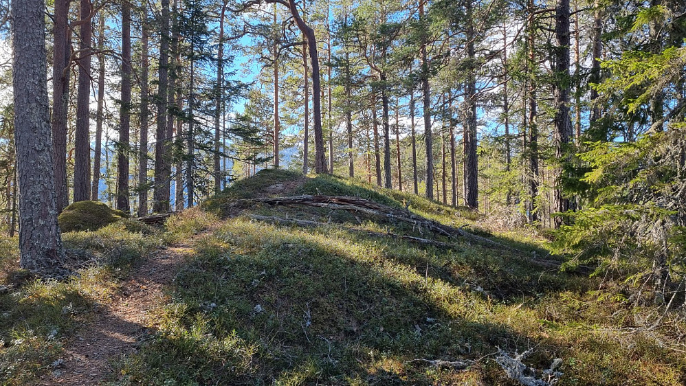Toppen av Geitnetten
