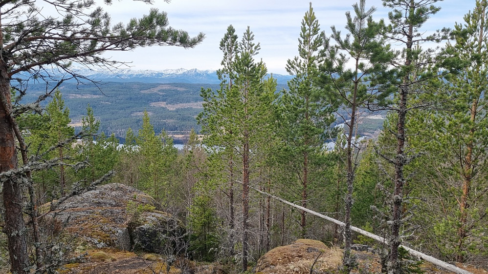 Utsikt å vei opp