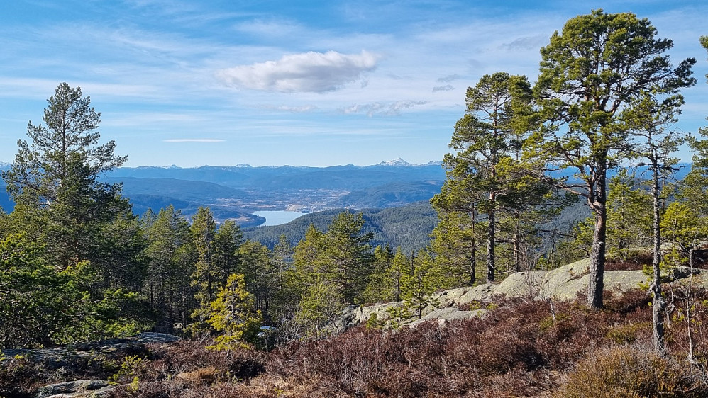 Utsikt over bla. flystripa på Notodden 