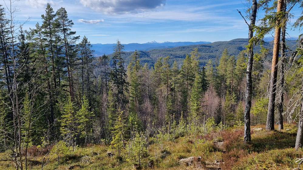 Gaustatoppen i sikte