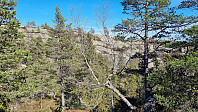 LivogKristen_20250426_680cea5e58b85.jpg