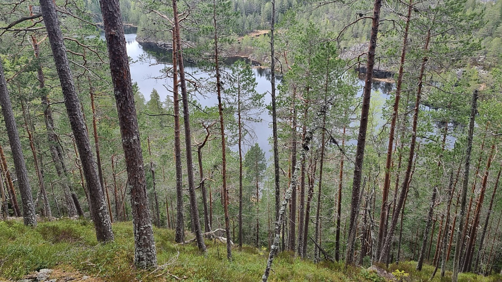 Bratt å krabbe opp denne lien