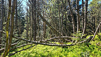 LivogKristen_20250512_6821eda38bb77.jpg