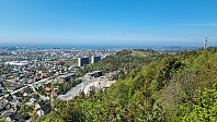 LivogKristen_20250512_6821eda42bbf0.jpg
