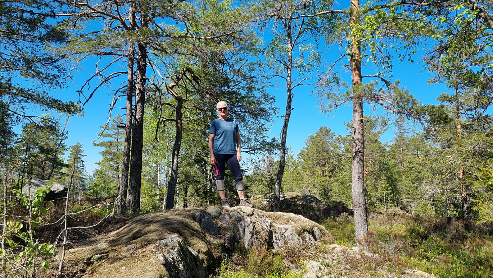Toppen