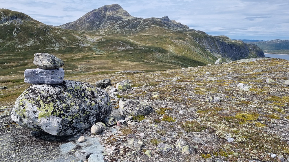 Kjerringnuten