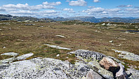 LivogKristen_20250627_685eacc9c2812.jpg