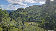 LivogKristen_20250627_685eaccab307e.jpg