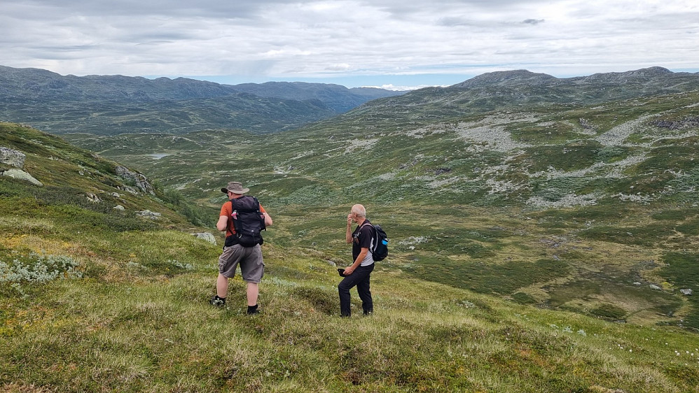 Hvor skal vi gå?