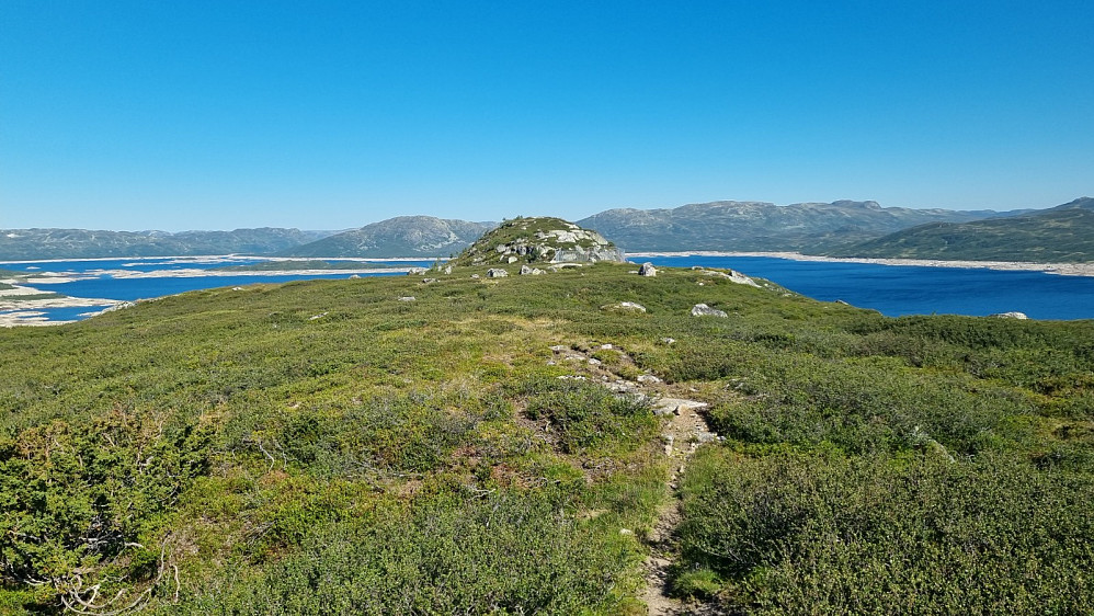 Toppen i siktet