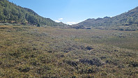 LivogKristen_20250824_68aae5dfc0f72.jpg
