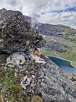 WencheG_20240710_668efe6e373c6.jpg