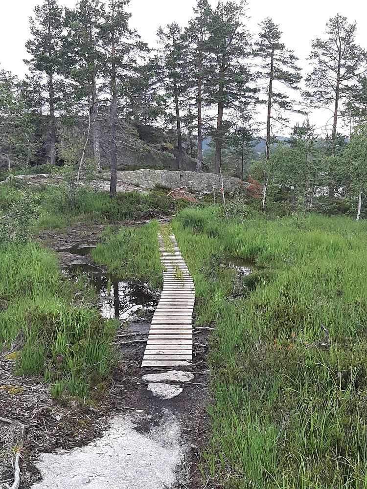 Klopper lagt ut på alle våte områdene oppover.