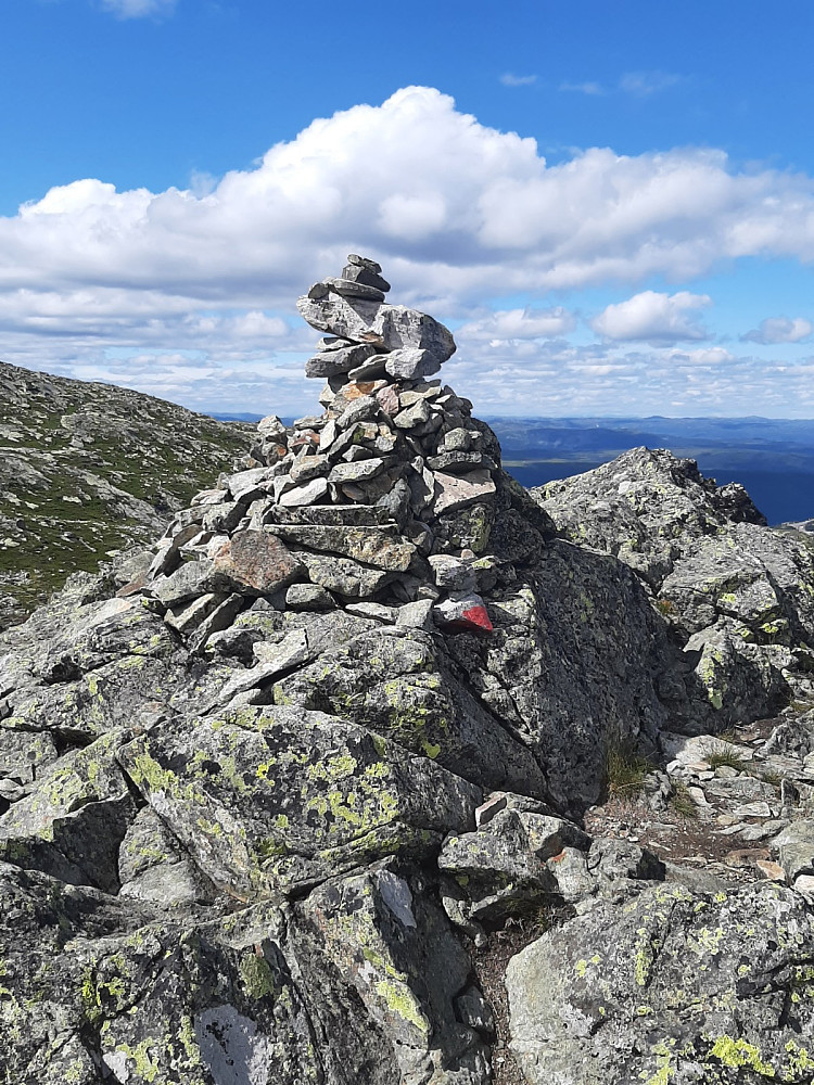 Varden på Toreskyrkja SØ.
